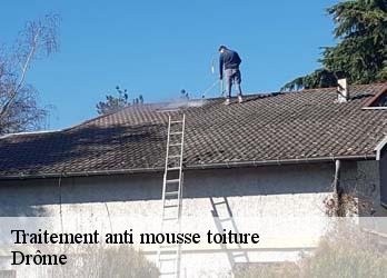 Traitement anti mousse toiture Drôme 