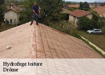 Hydrofuge toiture Drôme 