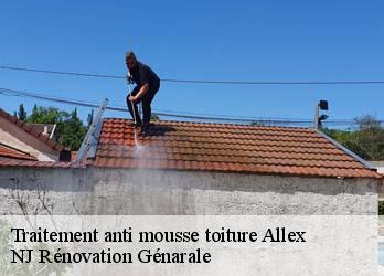 Traitement anti mousse toiture allex-26400 NJ Rénovation
