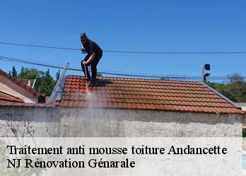 Traitement anti mousse toiture  andancette-26140 NJ Rénovation Génarale