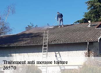 Traitement anti mousse toiture  26570