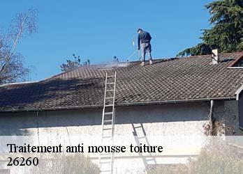 Traitement anti mousse toiture  26260