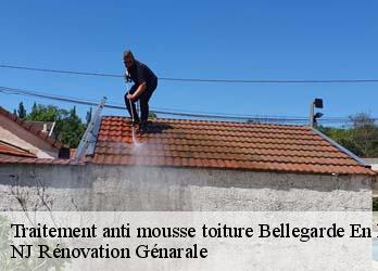 Traitement anti mousse toiture  bellegarde-en-diois-26470 NJ Rénovation Génarale