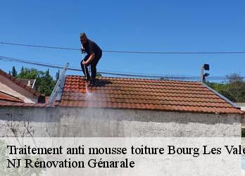 Traitement anti mousse toiture bourg-les-valence-26500 NJ Rénovation Génarale
