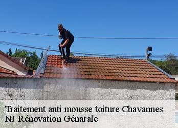 Traitement anti mousse toiture chavannes-26260 NJ Rénovation Génarale