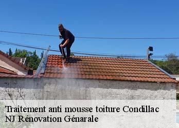 Traitement anti mousse toiture  condillac-26740 NJ Rénovation Génarale