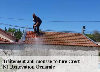 Traitement anti mousse toiture  crest-26400 NJ Rénovation Génarale