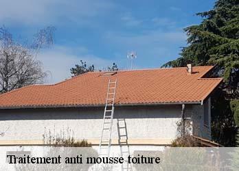 Traitement anti mousse toiture