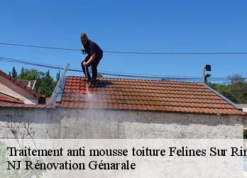 Traitement anti mousse toiture  felines-sur-rimandoule-26160 NJ Rénovation Génarale