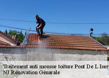 Traitement anti mousse toiture pont-de-l-isere-26600 NJ Rénovation