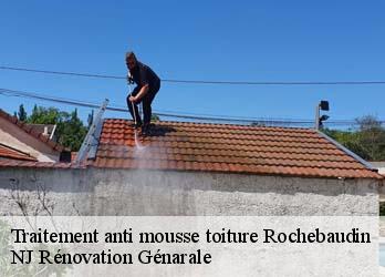 Traitement anti mousse toiture  rochebaudin-26160 NJ Rénovation Génarale