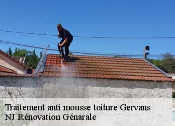 Traitement anti mousse toiture gervans-26600 NJ Rénovation Génarale