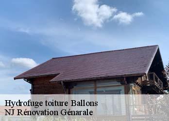 Hydrofuge toiture  ballons-26560 NJ Rénovation Génarale