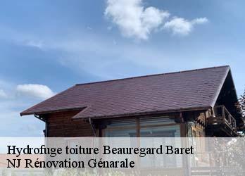 Hydrofuge toiture  beauregard-baret-26300 NJ Rénovation Génarale