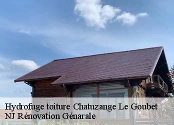 Hydrofuge toiture  chatuzange-le-goubet-26300 NJ Rénovation Génarale