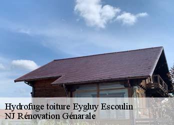 Hydrofuge toiture  eygluy-escoulin-26400 NJ Rénovation Génarale