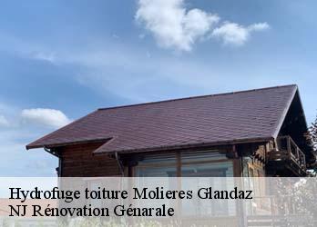 Hydrofuge toiture  molieres-glandaz-26150 NJ Rénovation Génarale