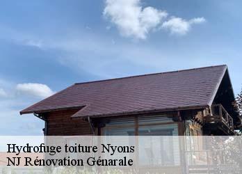 Hydrofuge toiture  nyons-26110 NJ Rénovation Génarale