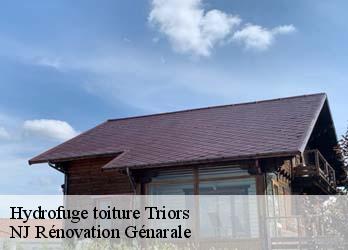 Hydrofuge toiture  triors-26750 NJ Rénovation Génarale