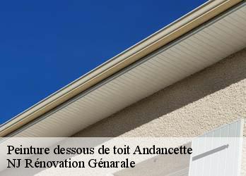 Peinture dessous de toit  andancette-26140 NJ Rénovation Génarale