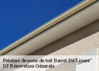 Peinture dessous de toit  barret-de-lioure-26570 NJ Rénovation Génarale