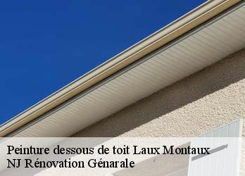 Peinture dessous de toit laux-montaux-26510 NJ Rénovation Génarale