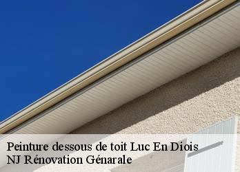 Peinture dessous de toit luc-en-diois-26310 NJ Rénovation Génarale