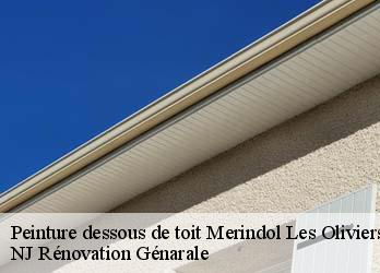 Peinture dessous de toit merindol-les-oliviers-26170 NJ Rénovation Génarale