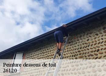 Peinture dessous de toit 26120