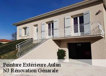 Peinture Extérieure aulan-26570 NJ Rénovation Génarale