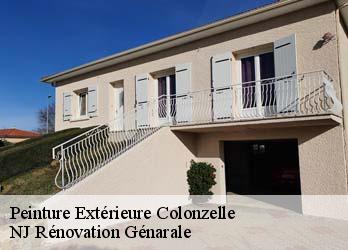 Peinture Extérieure  colonzelle-26230 NJ Rénovation Génarale