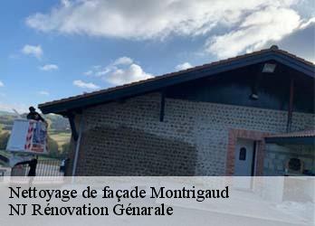 Nettoyage de façade  montrigaud-26350 NJ Rénovation Génarale