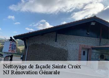 Nettoyage de façade sainte-croix-26150 Schizzano peinture