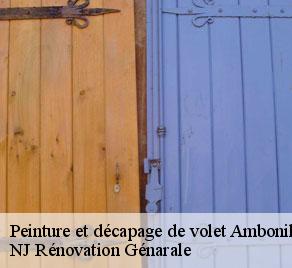 Peinture et décapage de volet  ambonil-26800 NJ Rénovation Génarale