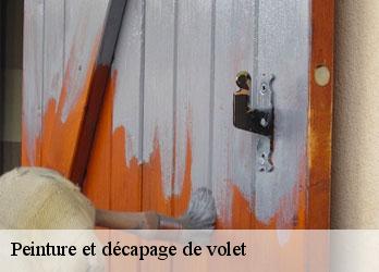 Peinture et décapage de volet