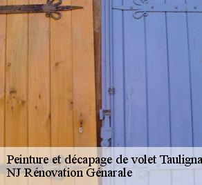 Peinture et décapage de volet  taulignan-26770 NJ Rénovation Génarale