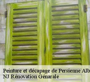 Peinture et décapage de Persienne  albon-26140 NJ Rénovation Génarale